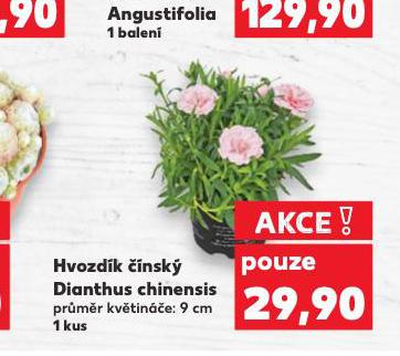 HVOZDK NSK