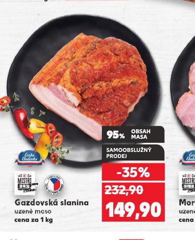 GAZDOVSK SLANINA