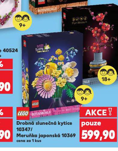 LEGO DROBN SLUNEN KYTICE