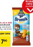 OPAVIA BRUMK