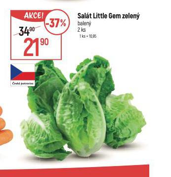 SALT LITTLE GEM ZELEN
