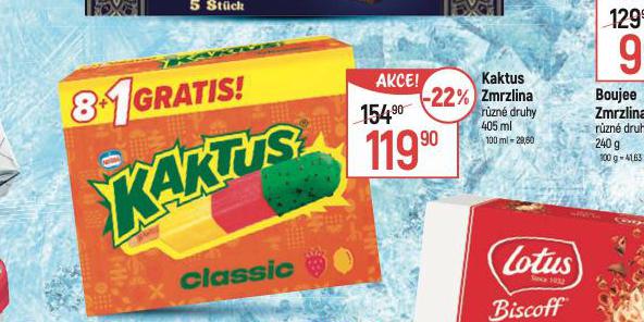 KAKTUS ZMRZLINA
