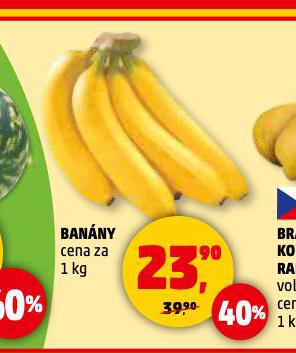 BANNY