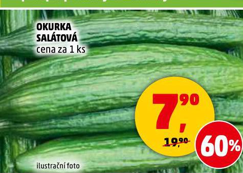 OKURKA SALTOV