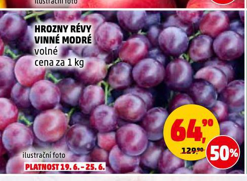 HROZNY RVY VINN MODR