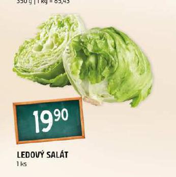 LEDOV SALT