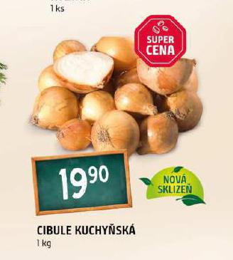 CIBULE KUCHYSK