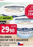 HOLLANDIA ERSTV SR S JOGURTEM