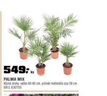 PALMA MIX
