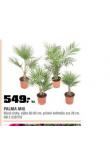 PALMA MIX
