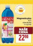 MAGNESIA PLUS