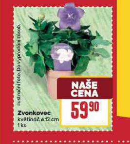 ZVONEC