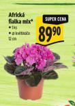 AFRICK FIALKA MIX