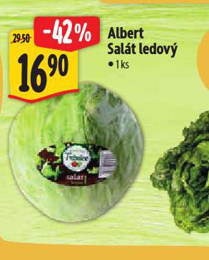 SALT LEDOV