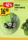 SALT LEDOV