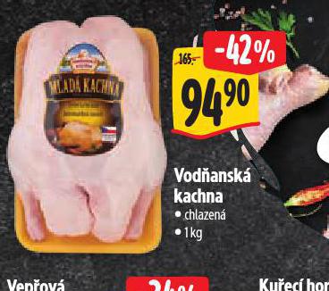 VODANSK KACHNA