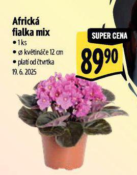 AFRICK FIALKA MIX