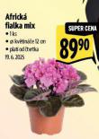 AFRICK FIALKA MIX