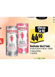 BEEFEATER GIN & TONIC