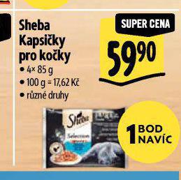 SHEBA KAPSIKY PRO KOKY
