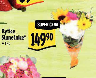 KYTICE SLUNENICE