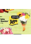 KYTICE SLUNENICE