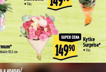 KYTICE SURPRISE