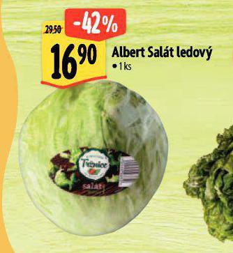 SALT LEDOV