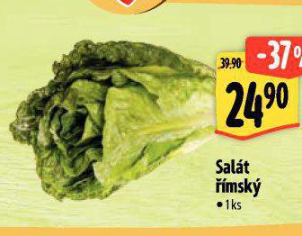 SALT MSK