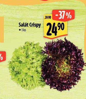 SALT CRISPY