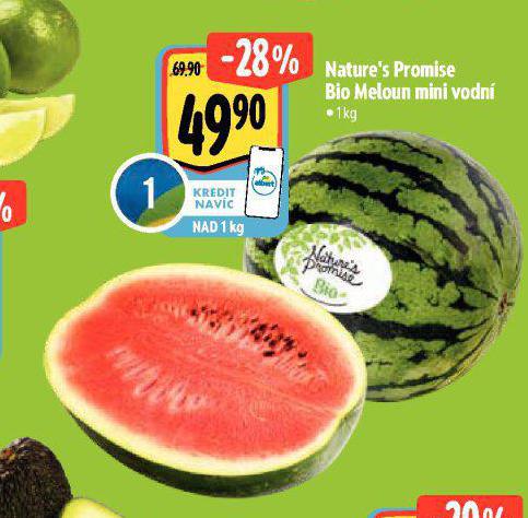 BIO MELOUN MINI VODN