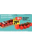 RAJATA KOKTEJLOV