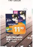 FELIX FANTASTIC