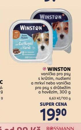 WINSTON VANIKA PRO PSY
