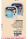 WINSTON VANIKA PRO PSY