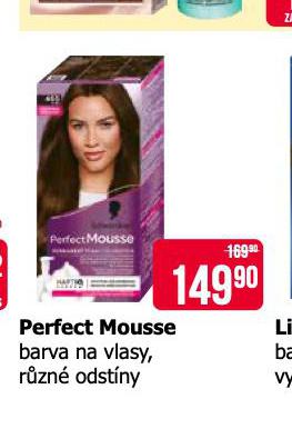 PERFECT MOUSSE BARVA NA VLASY