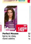 PERFECT MOUSSE BARVA NA VLASY