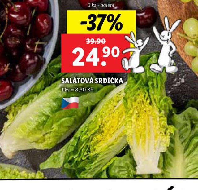 SALTOV SRDKA