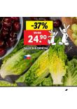 SALTOV SRDKA