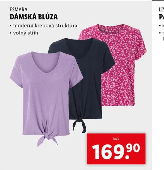 DMSK BLZA