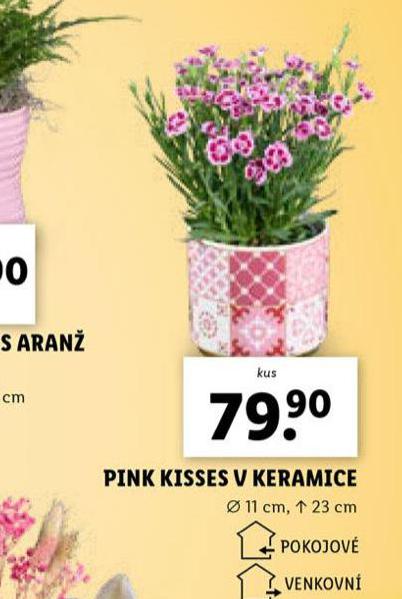 PINK KISSES V KERAMICE