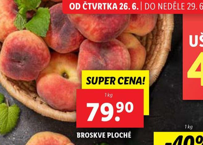 BROSKVE PLOCH