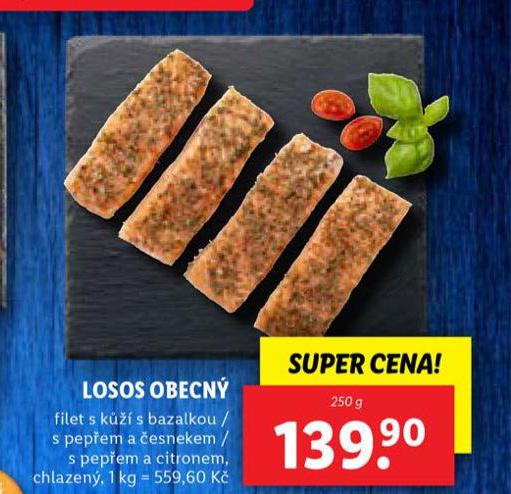 LOSOS OBECN