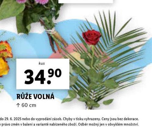 RَE VOLN