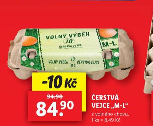 ERSTV VEJCE M-L