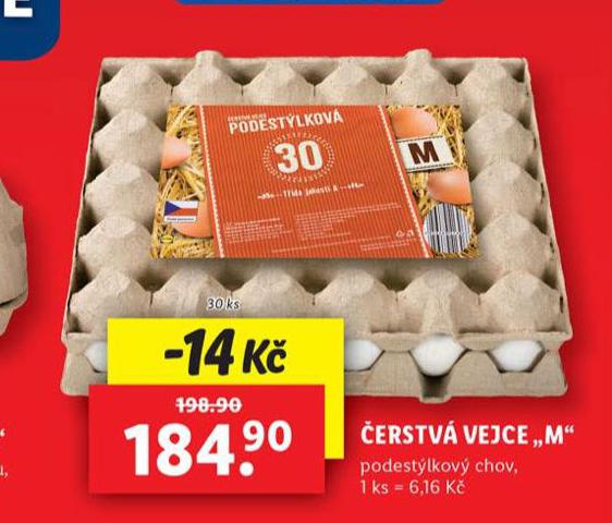 ERSTV VEJCE M