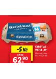 ERSTV VEJCE M
