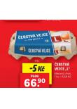 ERSTV VEJCE L