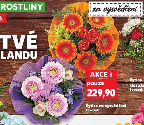 KYTICE ZA VYSVDEN