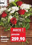KYTICE KLASICKÁ